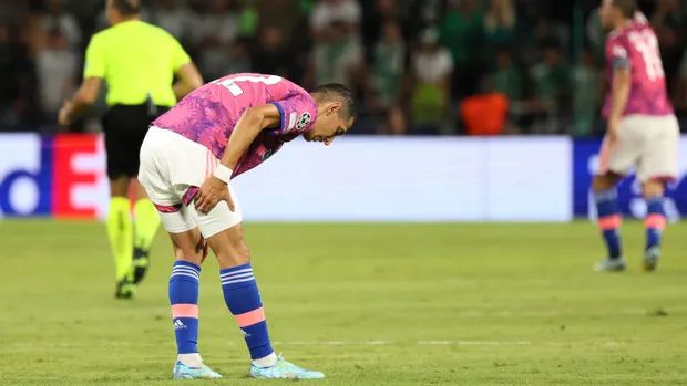 服部圭子在线