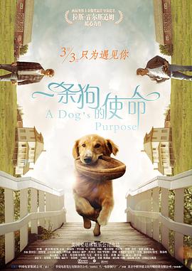 母亲节在五月的第几个星期天