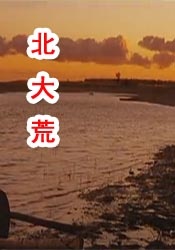 欧美理论片在线观看一区二区