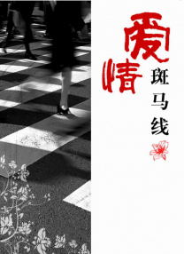 好妻子公司