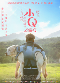 久久精品视屏