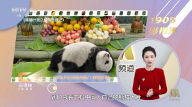 庵姬花出道所有作品番号